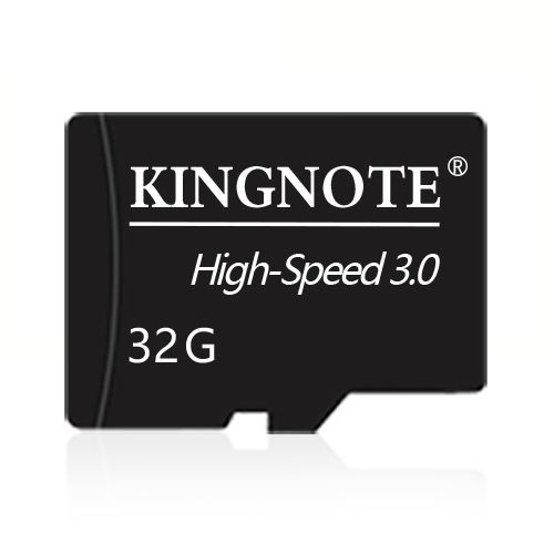 Memory Card (32GB MicroSD)